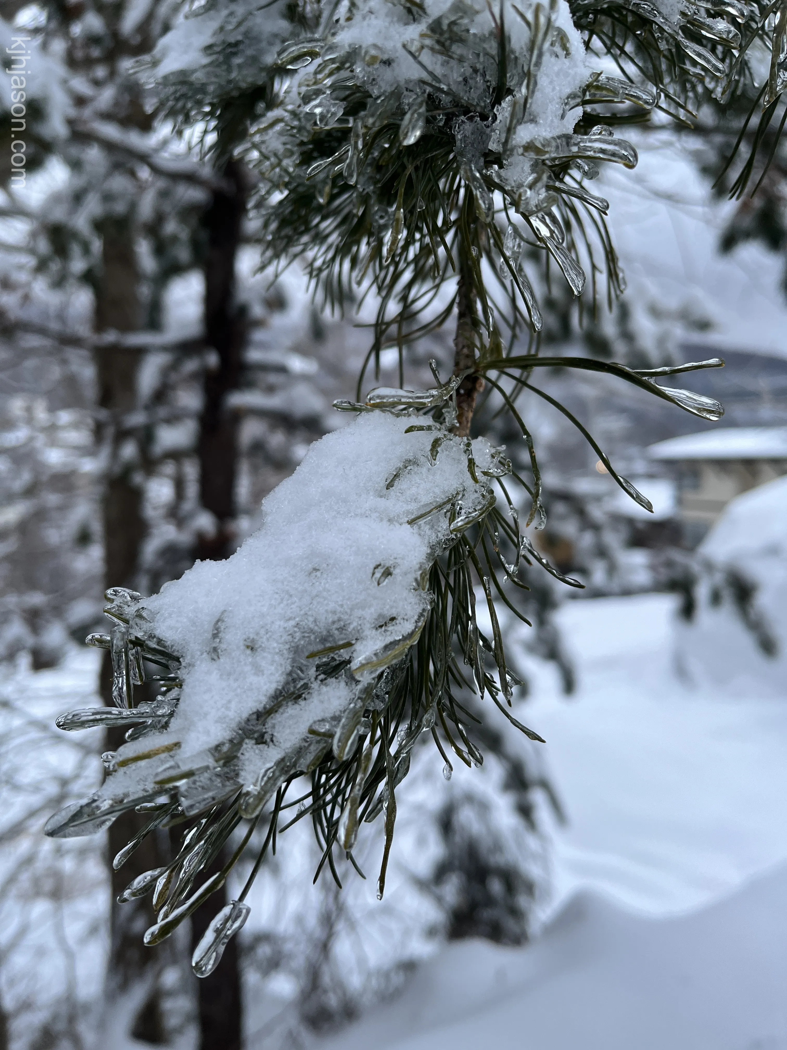 Zao Onsen Snow