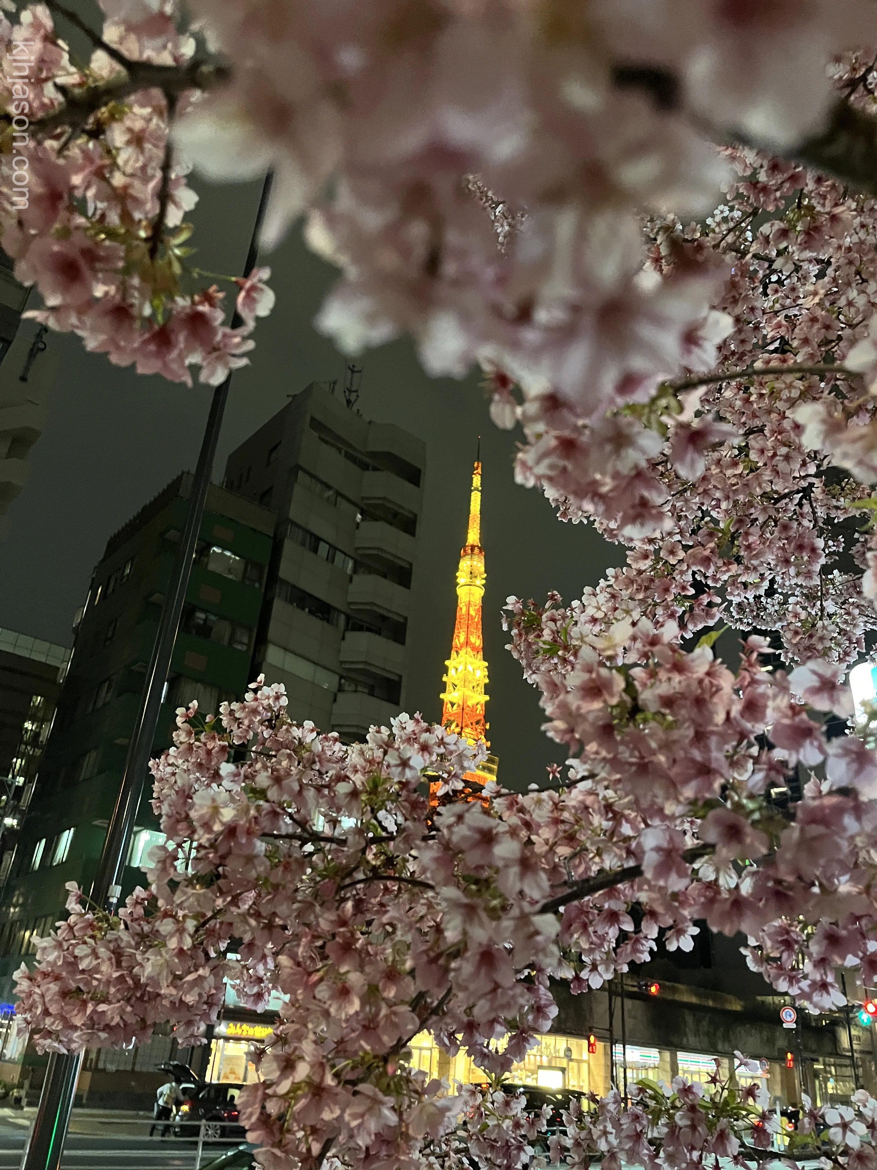 Tokyo Tower and Cherry Blossoms